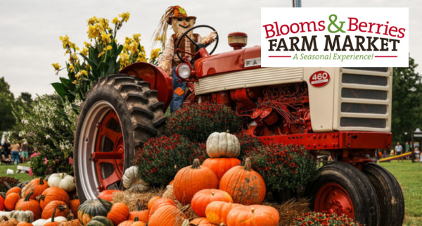Blooms & Berries Farm Market logo overlaid on an image of a scarecrow in the driver's seat of a tractor. Pumpkins, gourds, mums and hay bales sit next to the tractor.