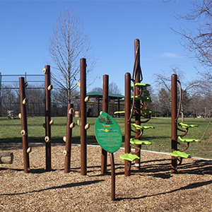 2026_300x300_PlayPod_Trees A play pod on a trail depicting trees with a baseball field in the background at Veterans Park