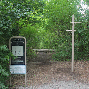 2026_300x300_Veterans_Knee_lift A knee lift station on the parcourse fitcircut on the trail at Veterans Park
